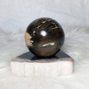 Petrified Wood Sphere Stone