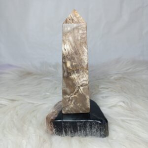 Petrified Wood Obelisk Stone