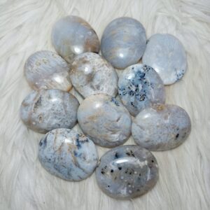White Dendrite Palm Stone